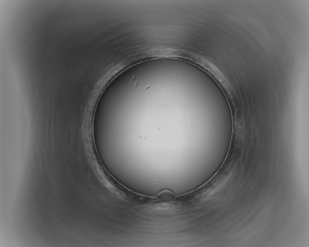 X0000114080433200910131239