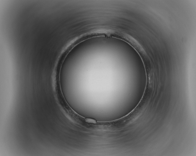 X0000114080436200910131239