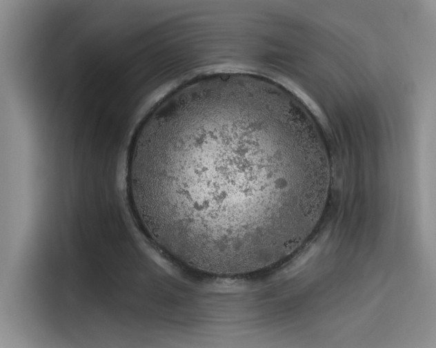 X0000114080437200910131239