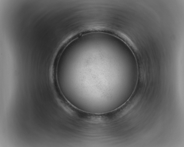 X0000114080439200910131239