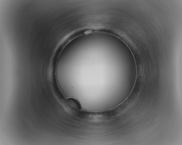 X0000114080440200910131239