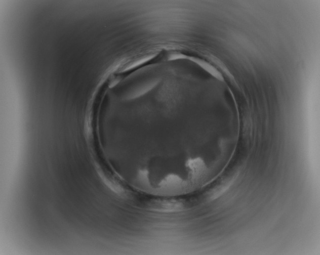 X0000114080443200910131239