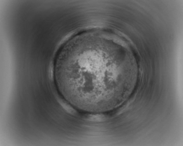 X0000114080446200910131240