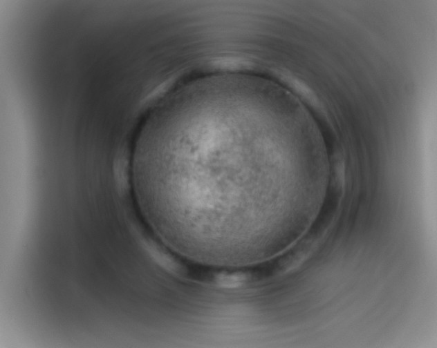 X0000114080450200910131240