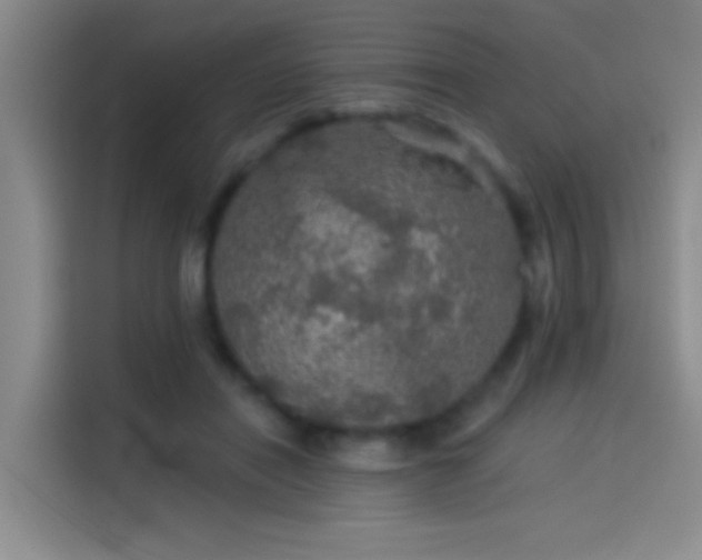 X0000114080454200910131240