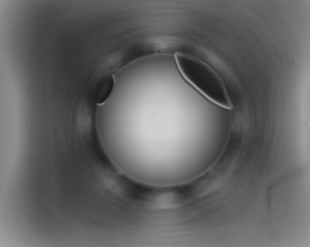 X0000114080456200910131240