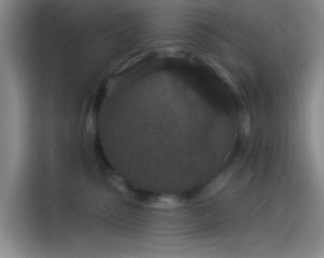 X0000114080475200910131240