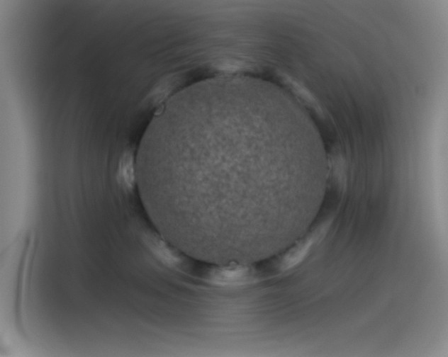 X0000114080479200910131240