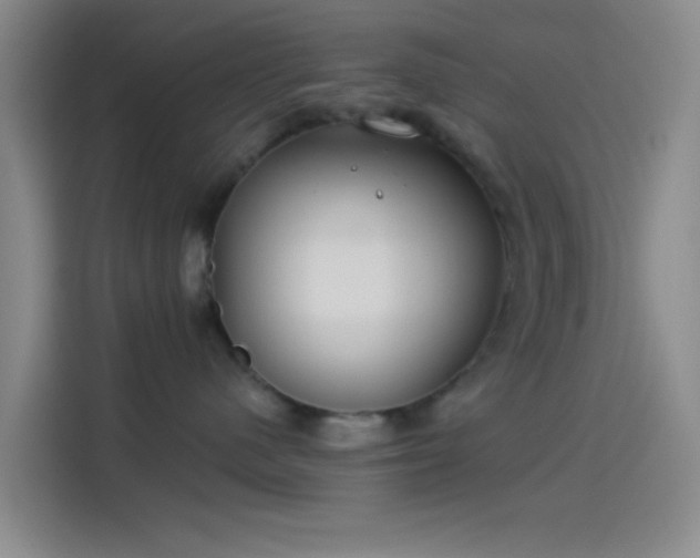 X0000114080480200910131240