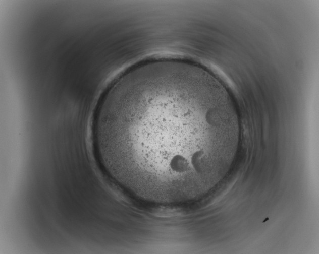 X0000114080487200910131239