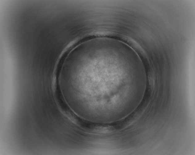 X0000114080488200910131239