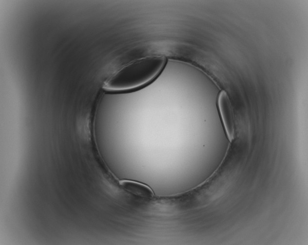 X0000114080489200910131239