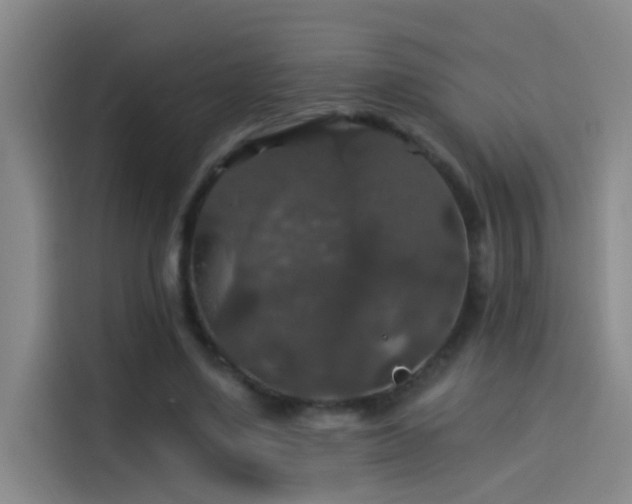 X0000114080491200910131239