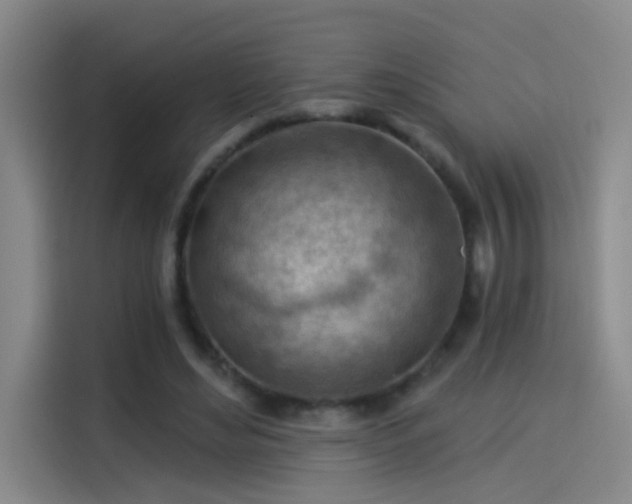 X0000114080492200910131239