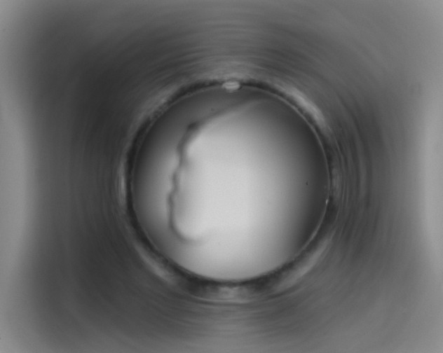 X0000114080493200910131239