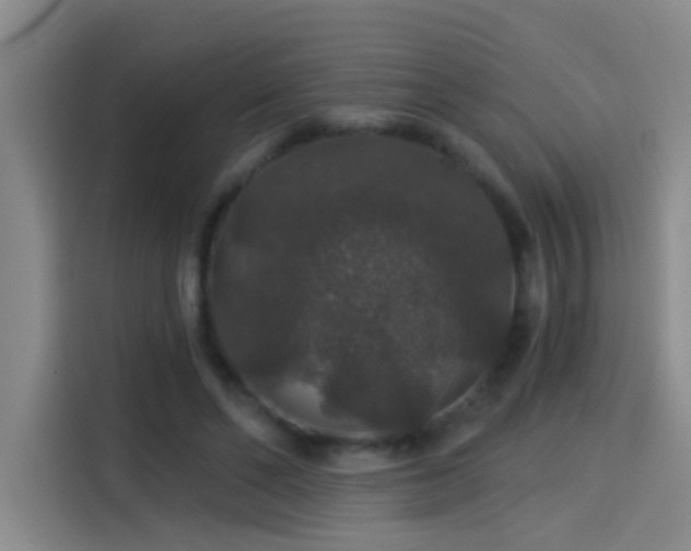 X0000114080494200910131239