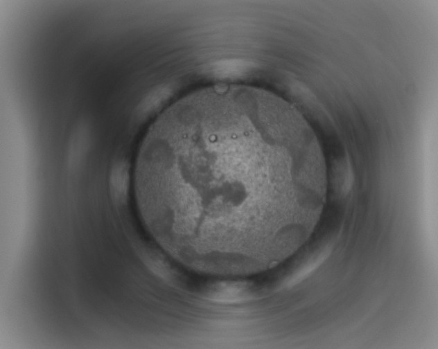 X0000114080495200910131239