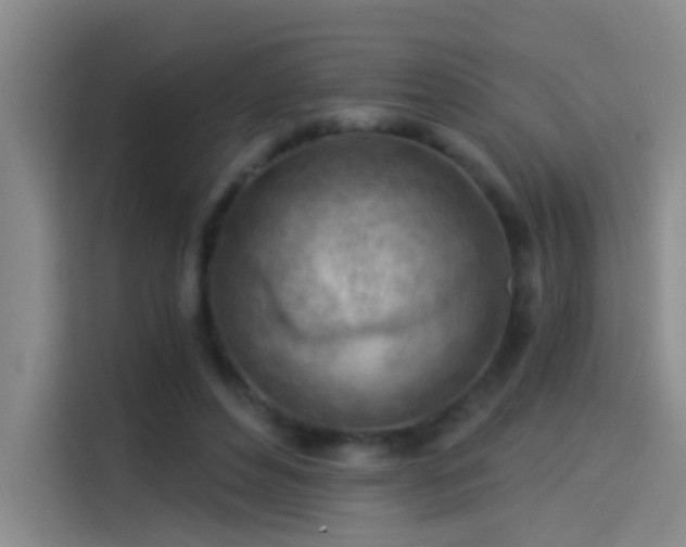 X0000114080496200910131239