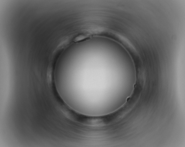 X0000114080501200910131239