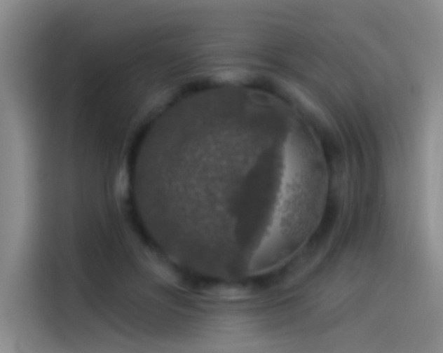 X0000114080502200910131239