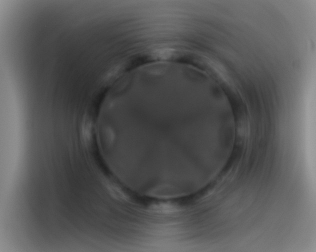 X0000114080503200910131239