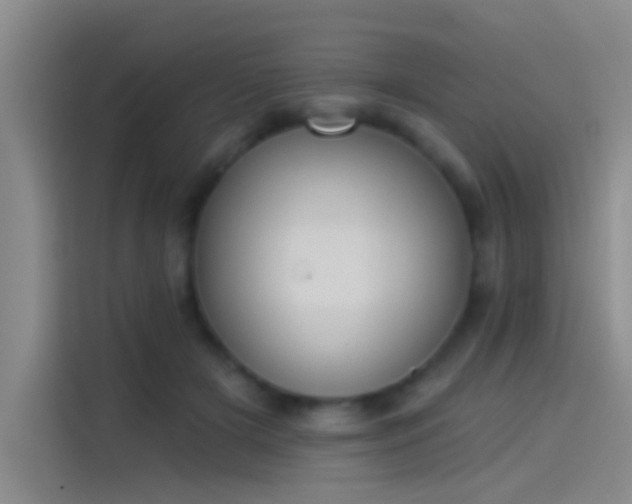 X0000114080505200910131239