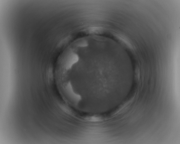 X0000114080506200910131239