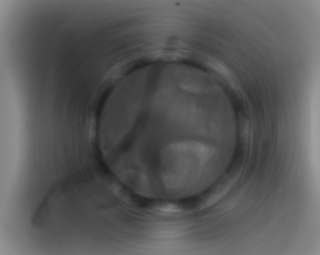 X0000114080507200910131239