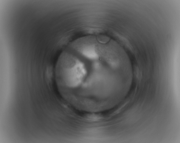 X0000114080511200910131239