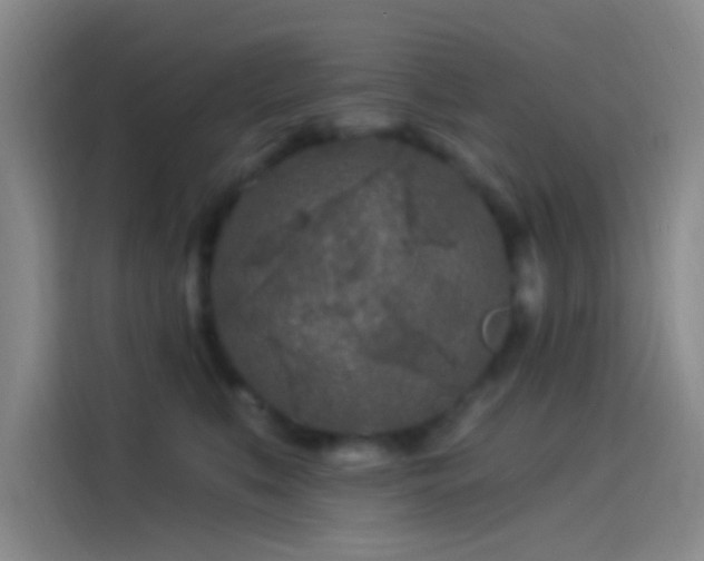 X0000114080519200910131239