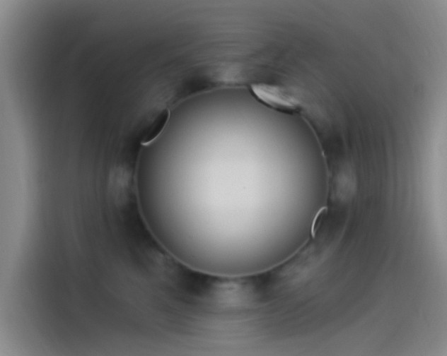 X0000114080521200910131239