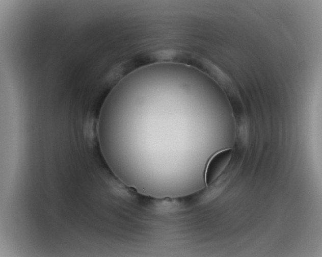 X0000114080525200910131239