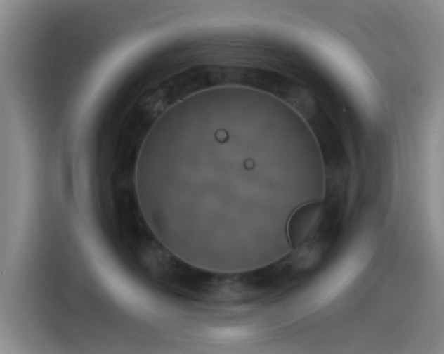 X0000114080526200910131239