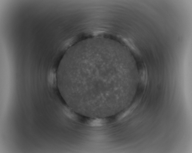 X0000114080527200910131239