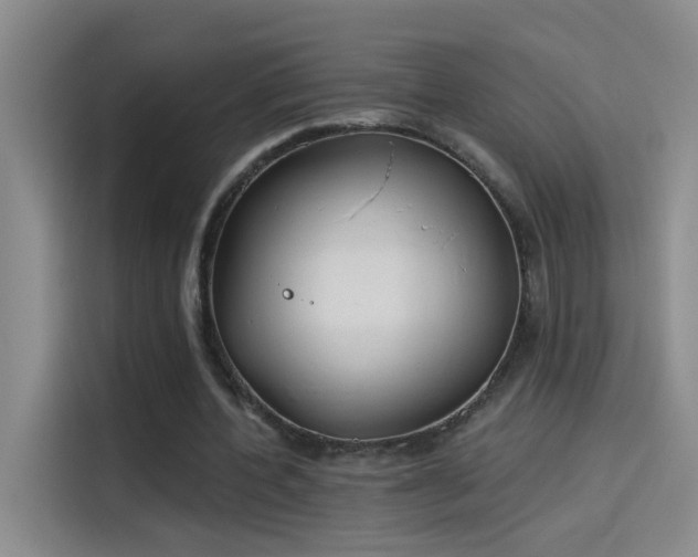 X0000114080532200910131238