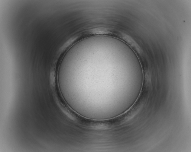 X0000114080533200910131238