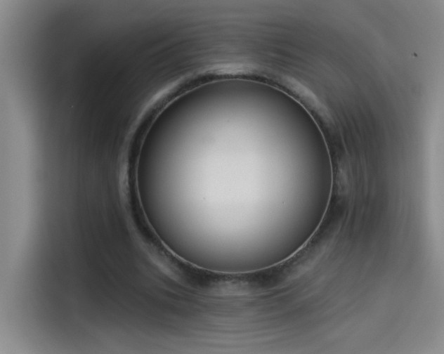 X0000114080535200910131238