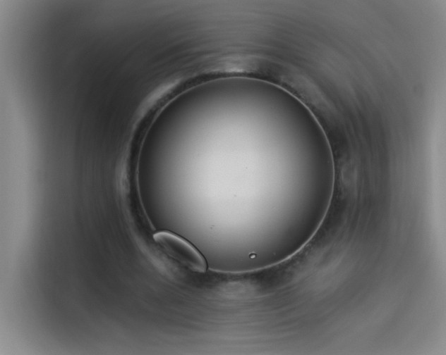 X0000114080536200910131238