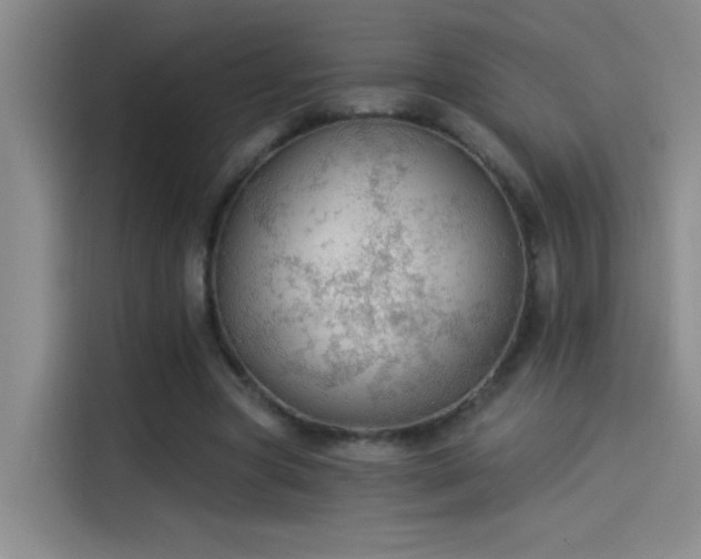 X0000114080537200910131238