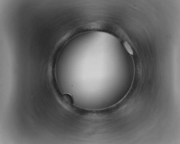 X0000114080538200910131238