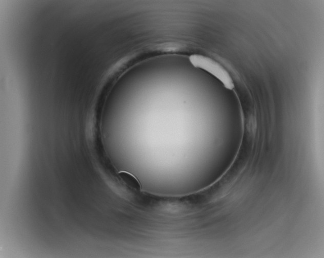 X0000114080540200910131238