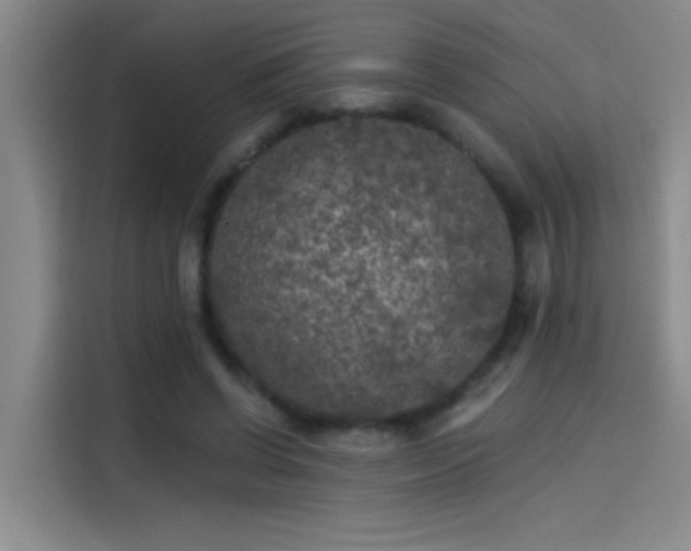 X0000114080542200910131238