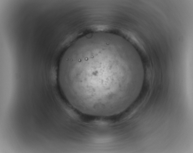 X0000114080545200910131238