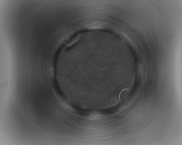 X0000114080547200910131238