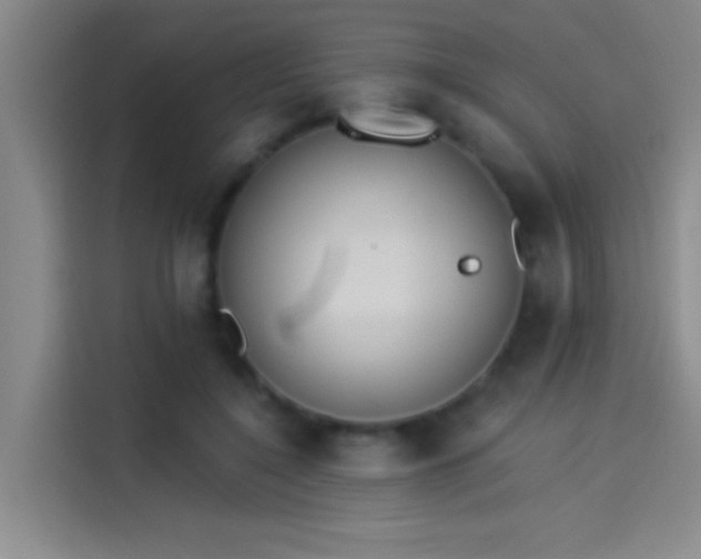 X0000114080548200910131238