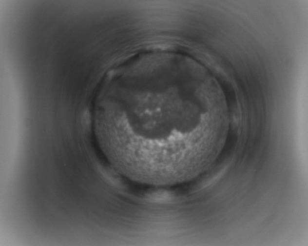 X0000114080551200910131238