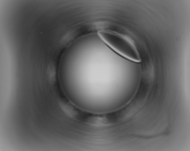 X0000114080552200910131238