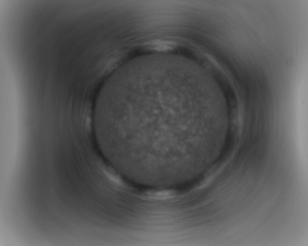 X0000114080553200910131238