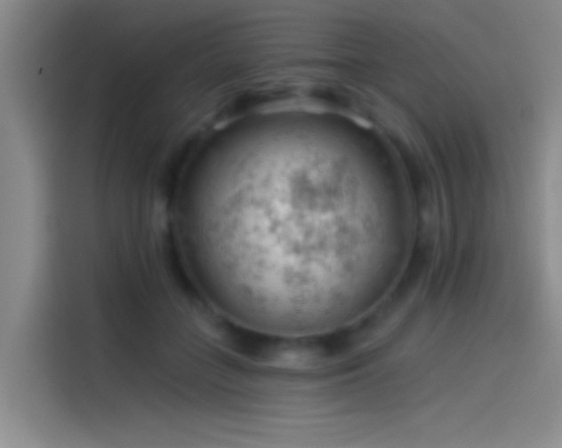 X0000114080555200910131238