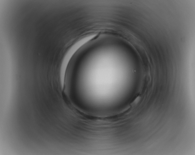 X0000114080556200910131238